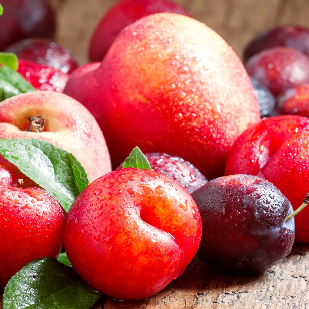 Fruit Cocktail Tree - Image 2