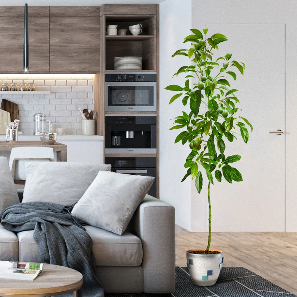 Smoothie Kit - Image 6