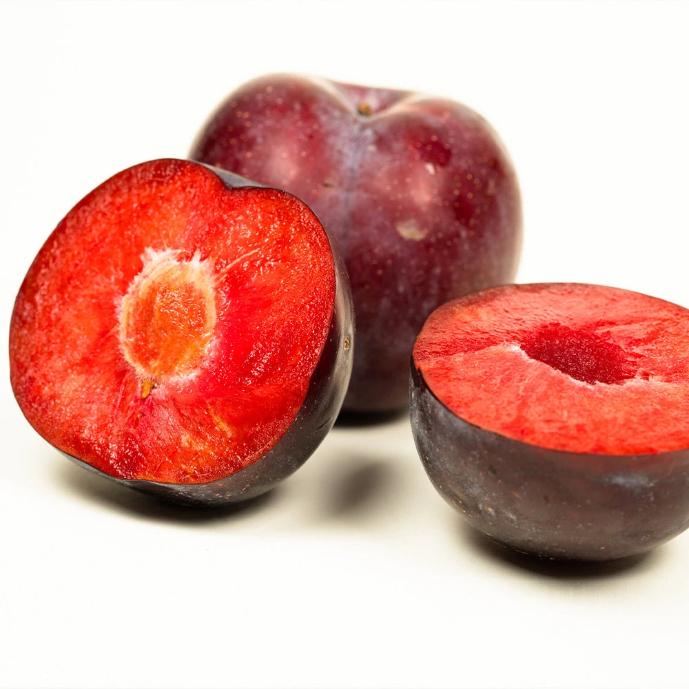 Methley Plum Tree - Image 4