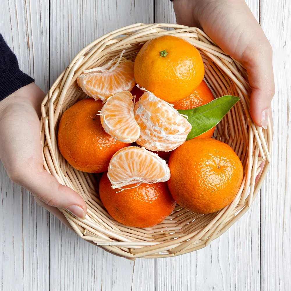 Page Mandarin Tree - Image 4