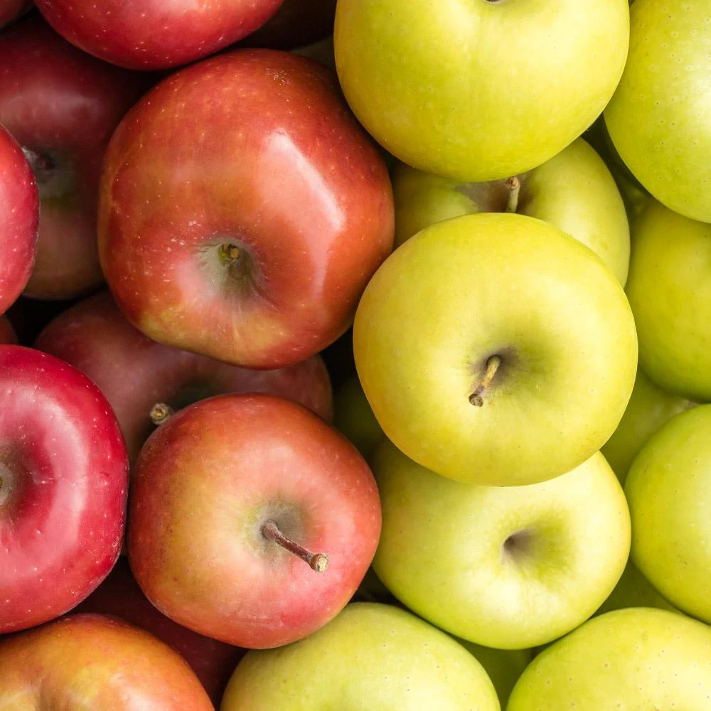 2-in-1 Apple Surprise Tree - Image 3